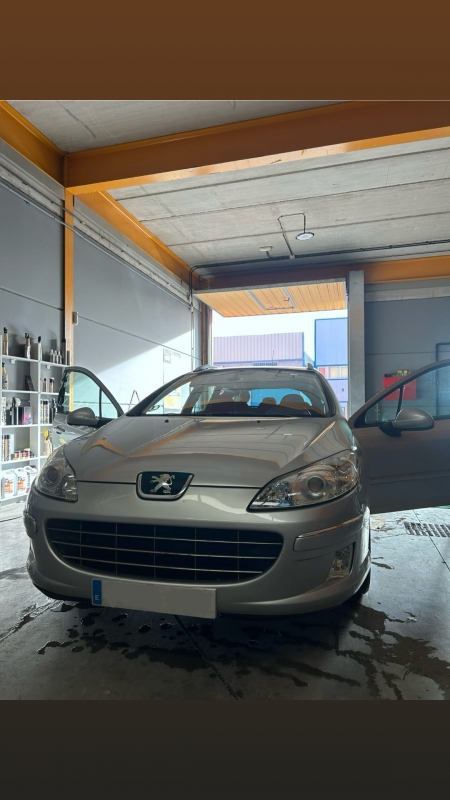 Lavado de coches manual