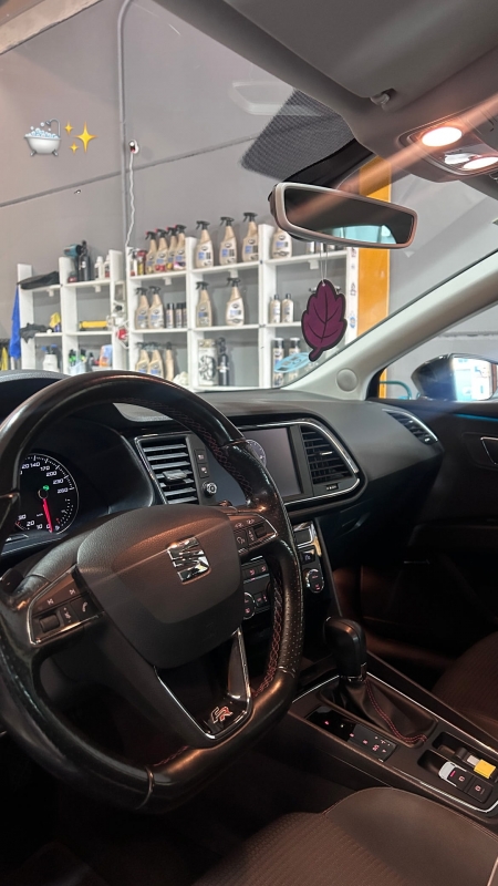 Lavado de coches manual
